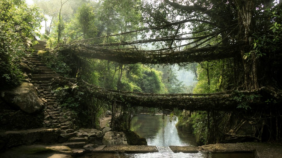 Double Decker Root Bridge Meghalaya