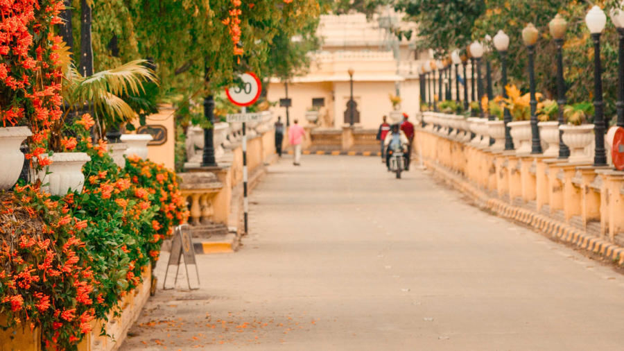 Shiv Niwas Palace from an Alley between Trees in Udaipur, India.jpg