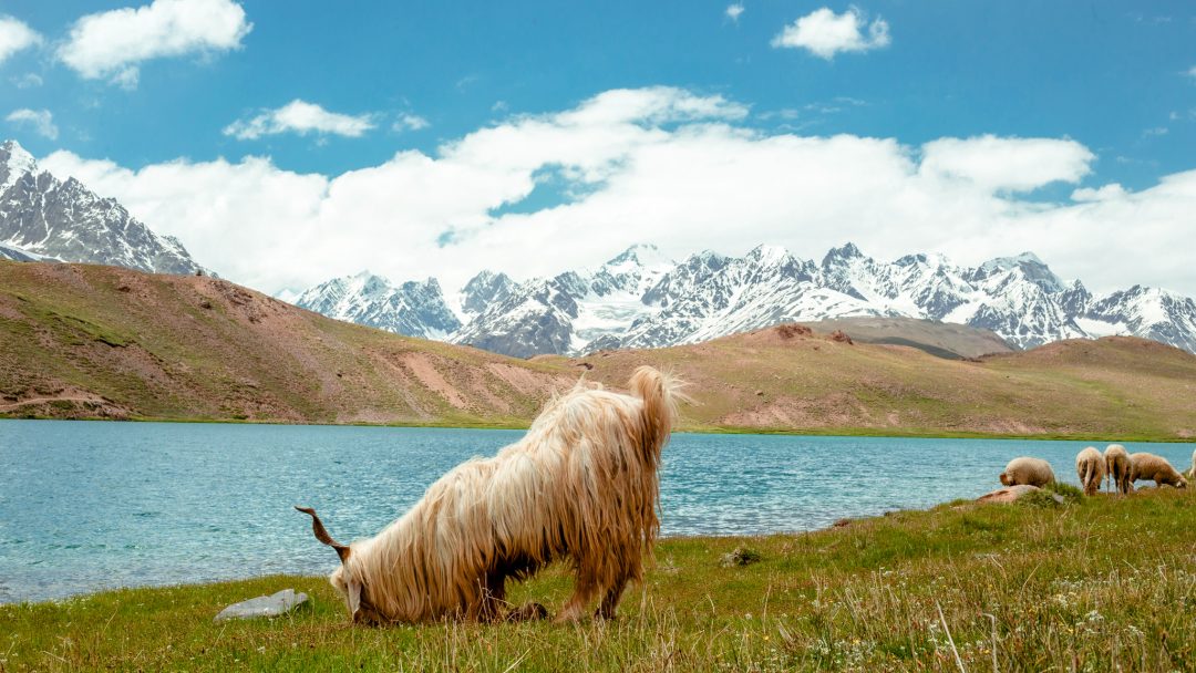 bhuvan-sharma-NJukJCwI5QM-unsplash chandra tal lake (2)